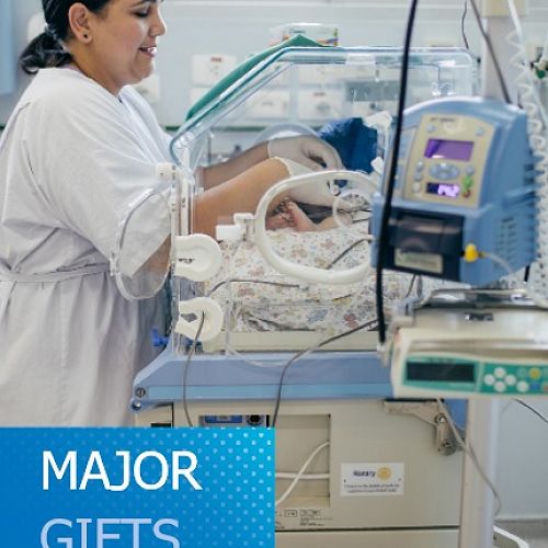 Major Gifts Major Impact