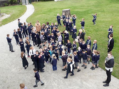 Welcoming the first albatross