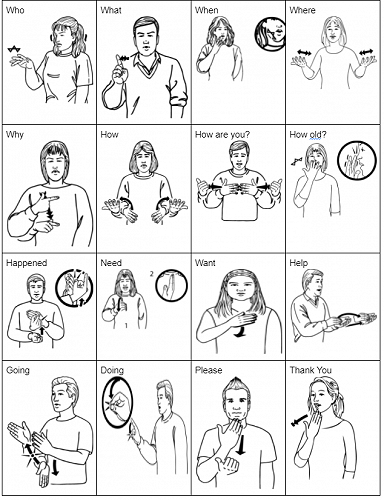 Learning New Zealand Sign Language: Questions and Emotions