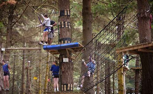 Adrenalin Forest High Rope Courses | Christchurch