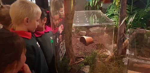 Awa's Trip to the Canterbury Museum