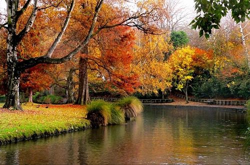 Christchurch and the Avon River | Autumn 