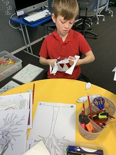 Maths and Family Tree