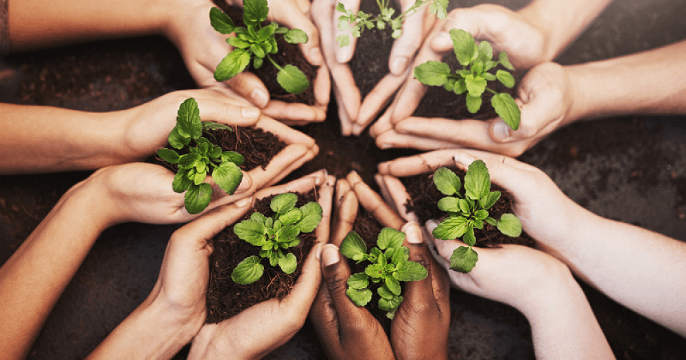 Green Project