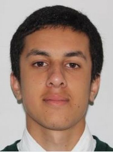 Alex Johnson - Level 2 Merit