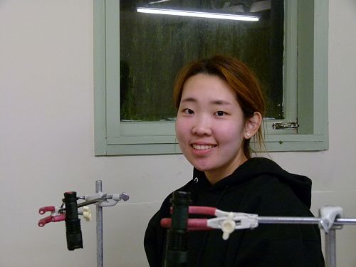 Year 13 Biology Field Trip to Wainui 2019