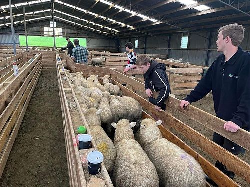 PITO Farming Taster Day