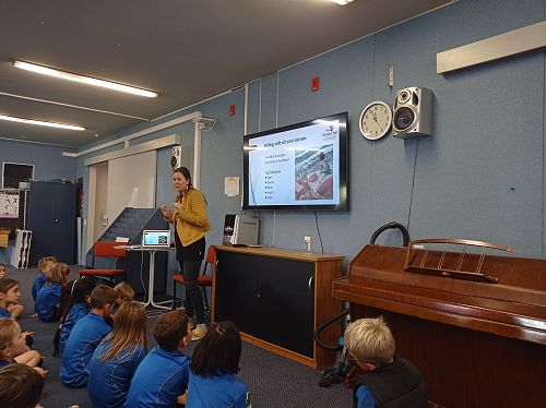 NZ author Sarah Wardell