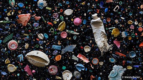 Video: Ocean Rubbish - Behind the News