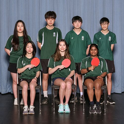 Table Tennis Boys A & Girls A Teams