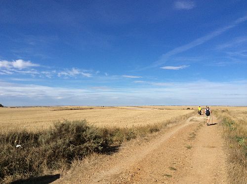 Day 9 Margie striding over the Meseta