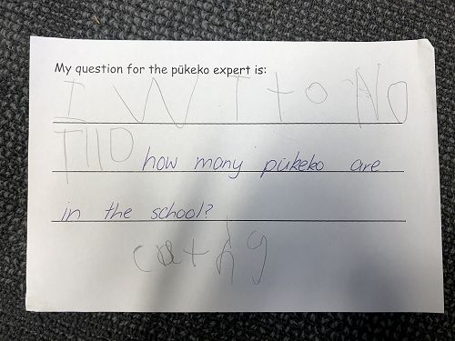 Harakeke Technology Problem