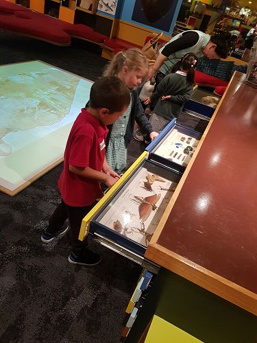 Awa's Trip to the Canterbury Museum