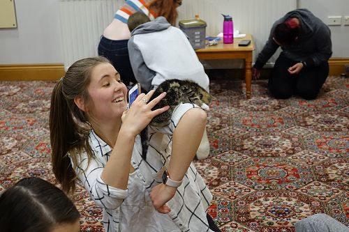 Cuddle Fix - 10 June 2018