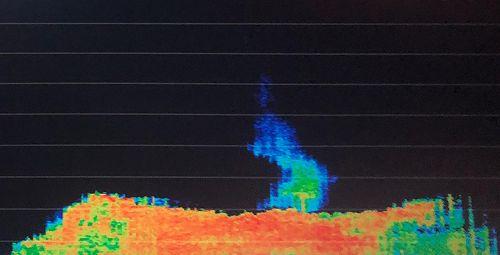WASSP Multibeam: Surveying Thermal Volcanic Venting, Hunga Caldera Tonga