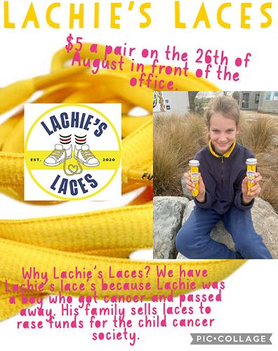 Lachie's Laces 22
