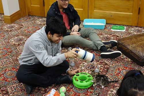 Cuddle Fix - 10 June 2018