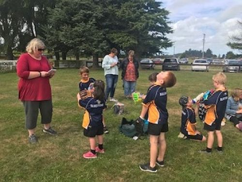 Softball/Teeball 2018