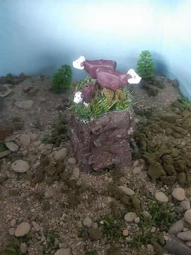 Year 10 artworks based on natural disasters from
Aotearoa.