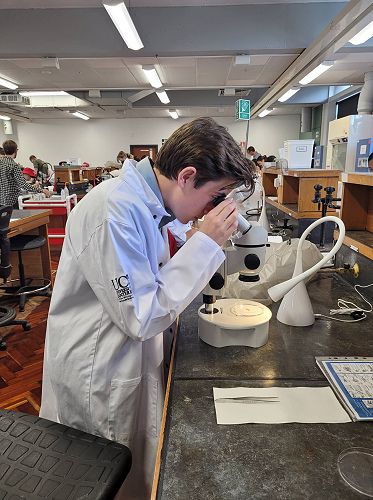 UC - He Puna Pūtaiao