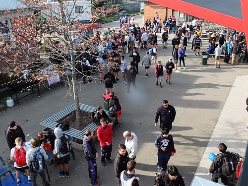 Market Day - Council Event