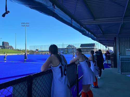Columba cheering on the their team mates from the dug out.