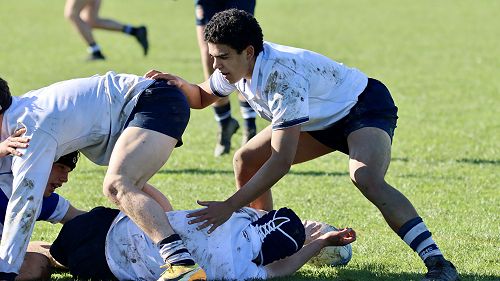 3rd XV v. Napier Boys' High School
