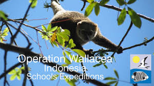 Operation Wallacea - Indonesia