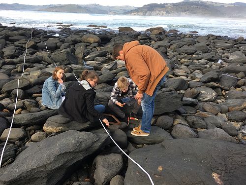 12 Biology trip to Rocky Shore