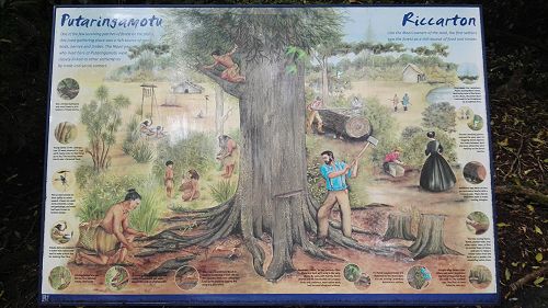 Riccarton House & Riccarton Bush - Team Harakeke - 2017