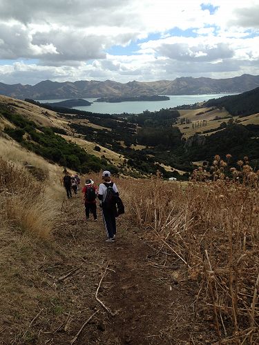 Totara Camp February 2017