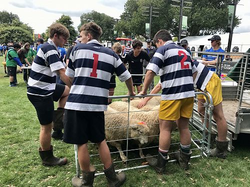 Clash of the Colleges - NZ Rural Games 2021