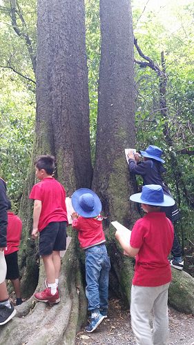 Riccarton House & Riccarton Bush - Team Harakeke - 2017