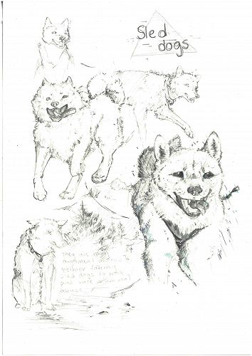 Emily Robertson, 10SLB