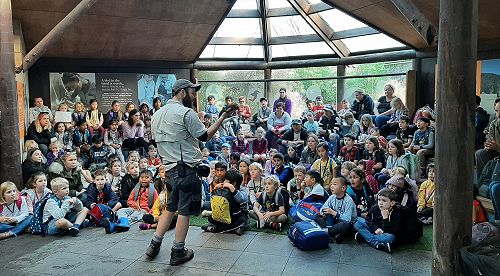 The Tuatara Experience