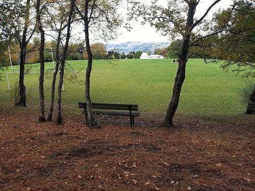 Photo: Junior School 3rd Place - Maia Hayden