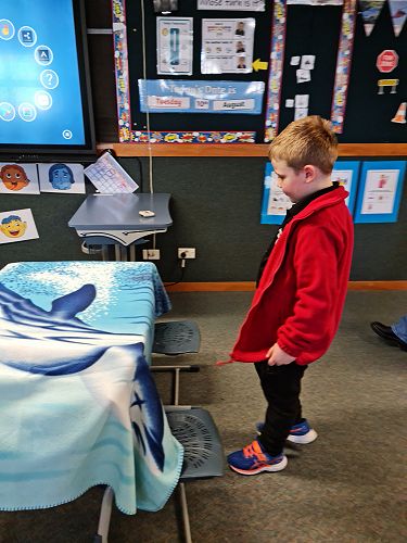 Archy loves building huts! Where is Jolie hiding?