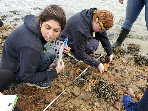 12 Biology Field trip
