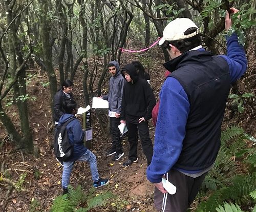 Modelling possums (Left front clockwise) Damien Sami, Dipal Narayan, Navneel Chetty, Justin Howland with Andrew Gormley (Landcare Research)