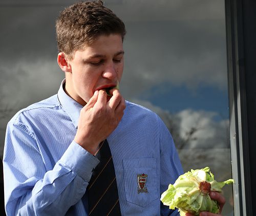 Lettuce Eating - Tom