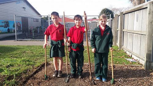 Winston out in the Food Forest ready for work