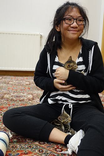 Cuddle Fix - 10 June 2018