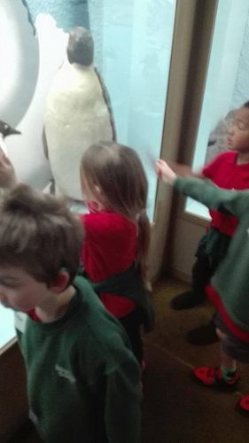 Team Awa's Visit to the Art Gallery and Museum