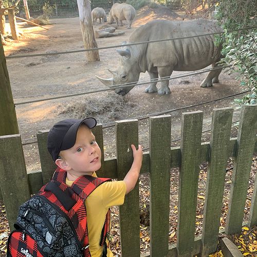 Video: All Creatures Great and Small