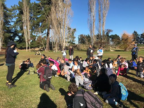 Team Kāpuka Woodend Camp 2019