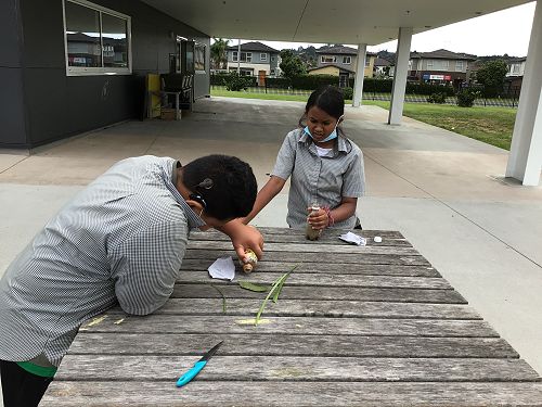 Designing a Water Filter for SURVIVAL TAIP 