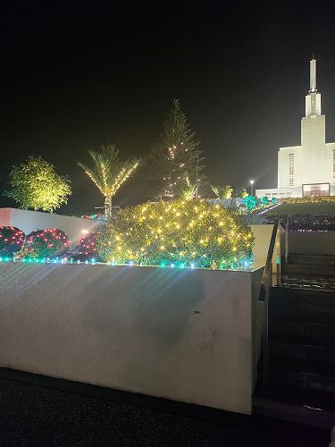 LDS Temple Christmas Lights