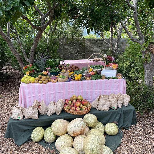 Ngāhuru harvest table
