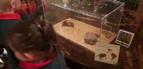 Awa's Trip to the Canterbury Museum