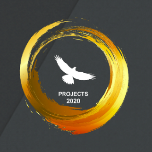 Projects 2020